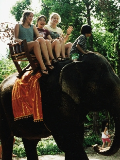 Elephant in Pah Leurat